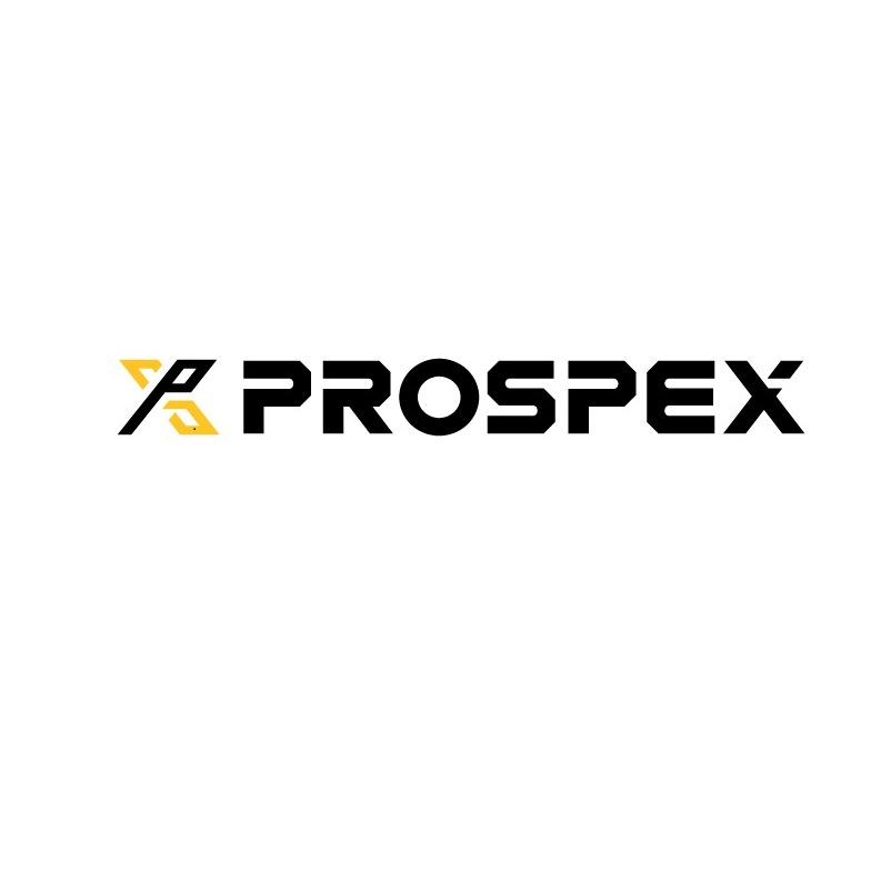 PROSPEX Home Inspectors Logo