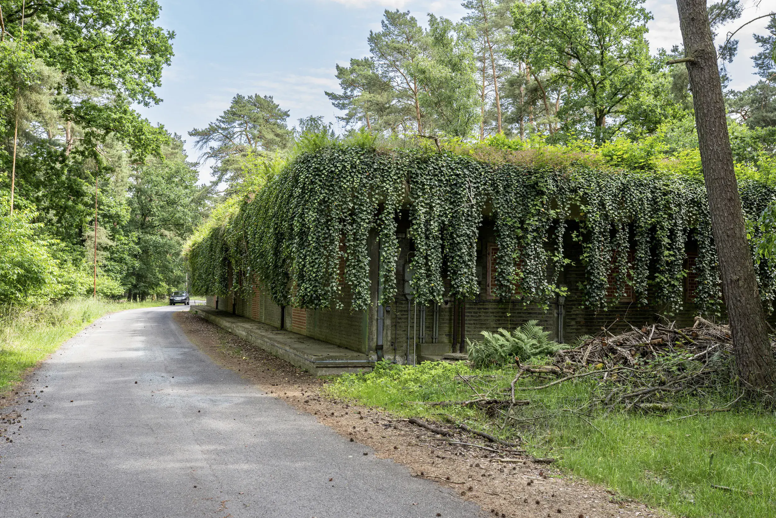 Forstgut Eickhof, Lönsweg 2 A in Liebenau