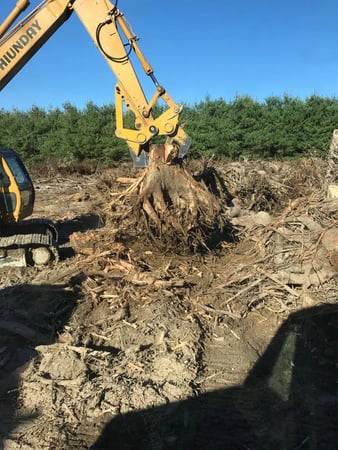 Images Jerry's Lawn & Tree Care