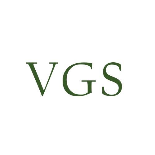 Vince's Glass Service Inc Logo