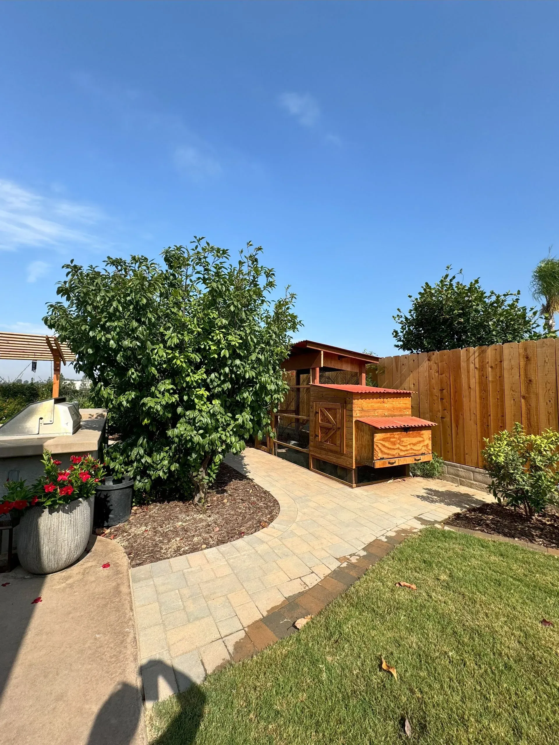 Dave Suda Landscape Image