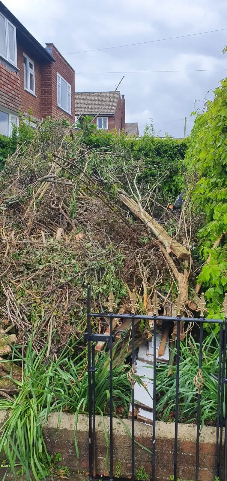 Images Vaughan Waste Services