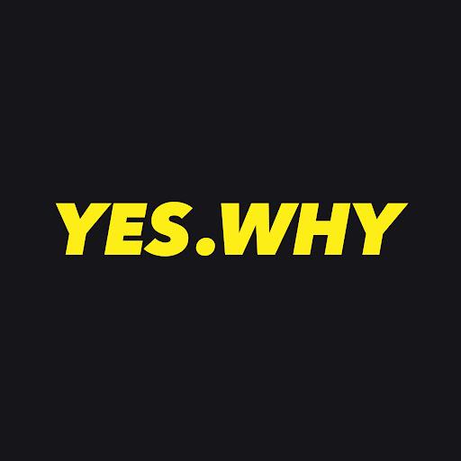YES.WHY Werbeagentur Würzburg in Würzburg - Logo