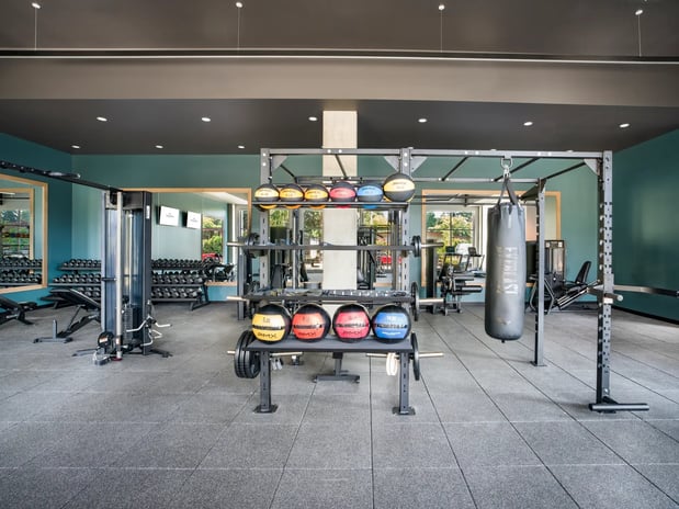 Images Modera Shoreline