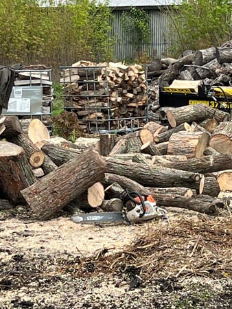 Images Mr. Nice Guy Tree Service