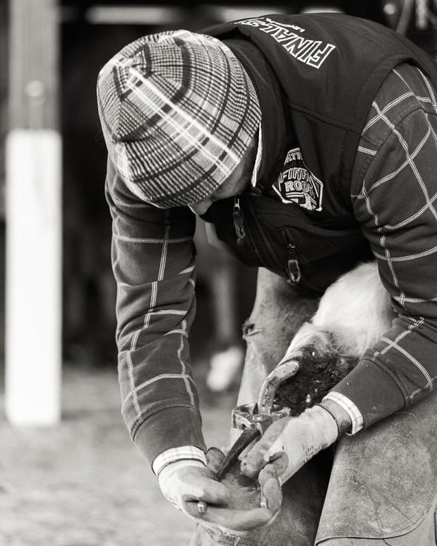 Images Sylvan Dale Guest Ranch & Wedding Venue