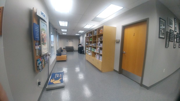 Images VCA Animal Care Hospital