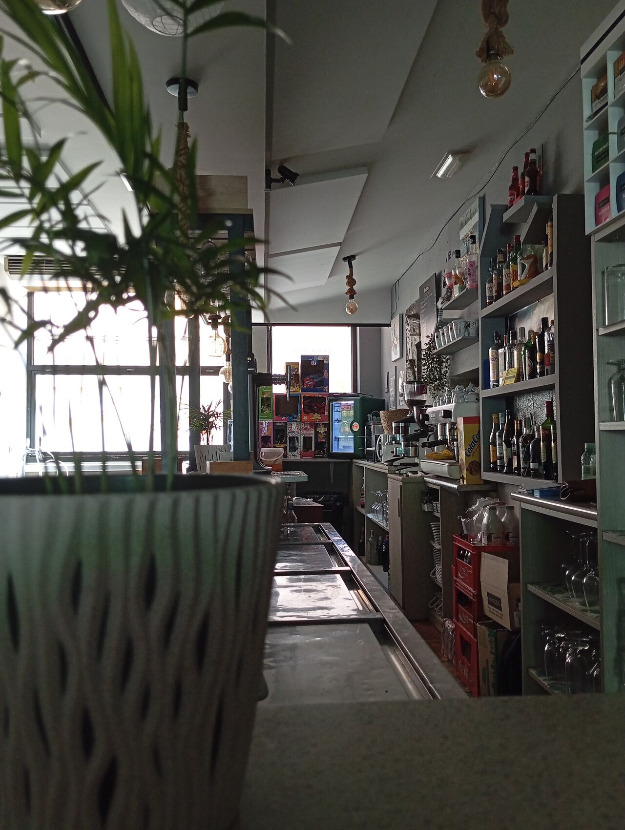 Images BAR-TERRAZA NIVARIA