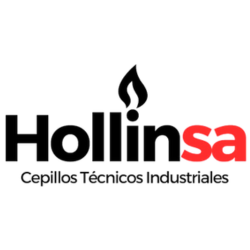 Hollinsa Logo