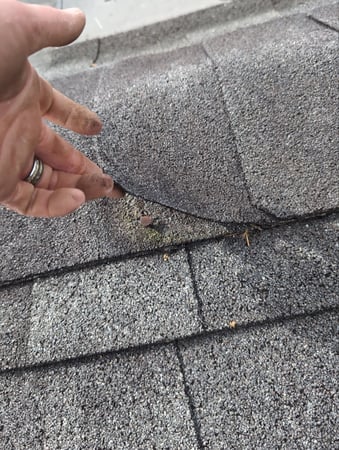 Images Roof Now