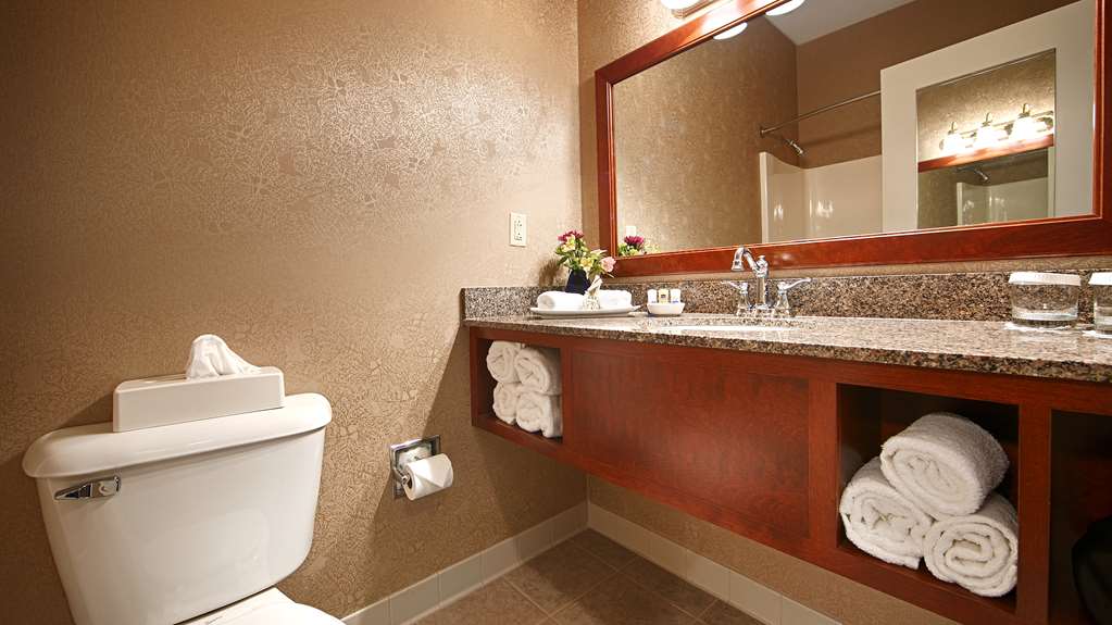 Guest Bathroom Best Western Plus Mentor-Cleveland Northeast Mentor (440)205-7378