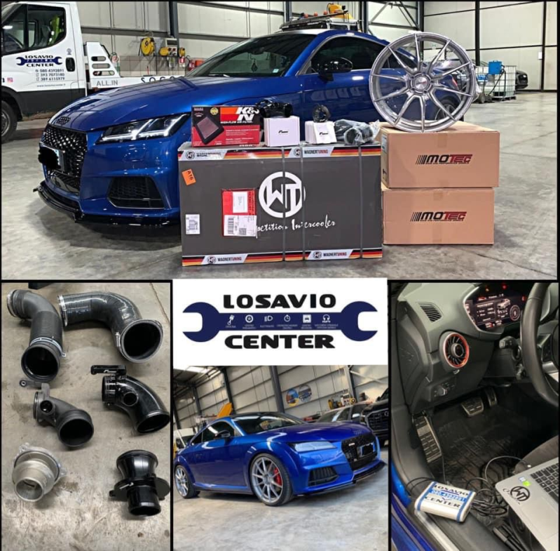 Images Losavio Center