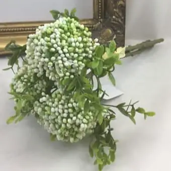 Images Village Green Wholesale Ltd