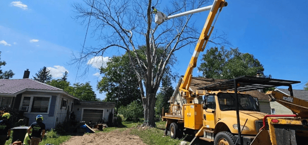 Images Stuckman Tree Service South
