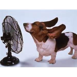 Ted's Heating and Air