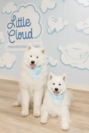 Images Little Cloud Pediatric Dentistry