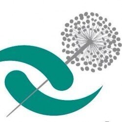pm-acupuntura Logo