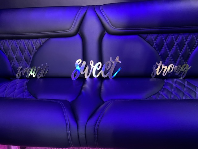 Images Diego Party Bus & Limo
