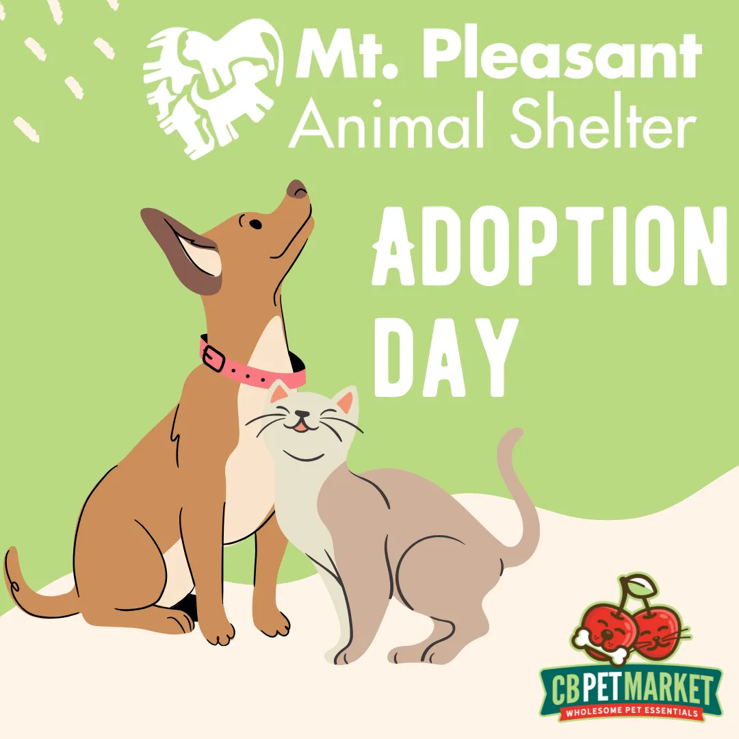 Image of Local Pet Event Mt. Pleasant Animal Shelter Adoption Day Nearby