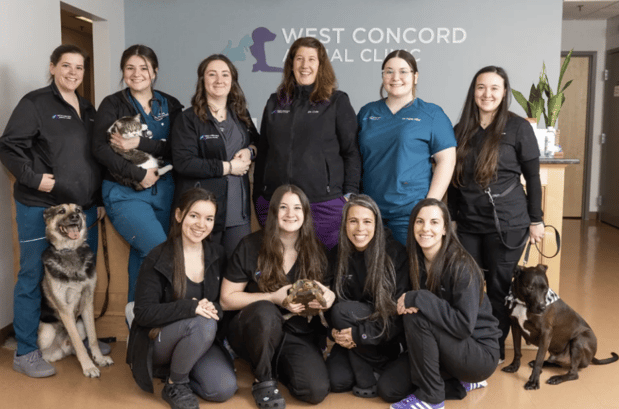 Images West Concord Animal Clinic