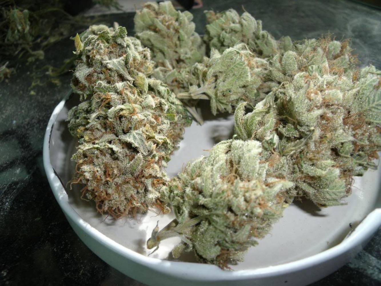Star Buds DU Recreational Marijuana Dispensary at E Evans Ave