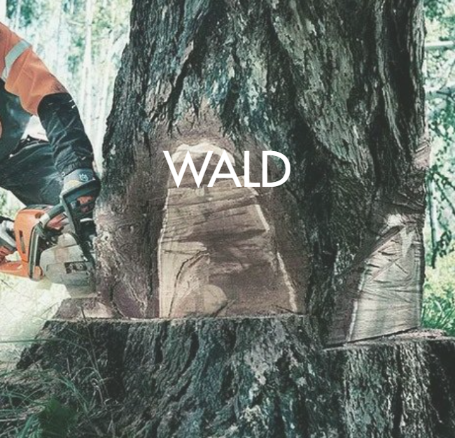 Riedweg Motorgeräte AG, Eistrasse 6 in Malters