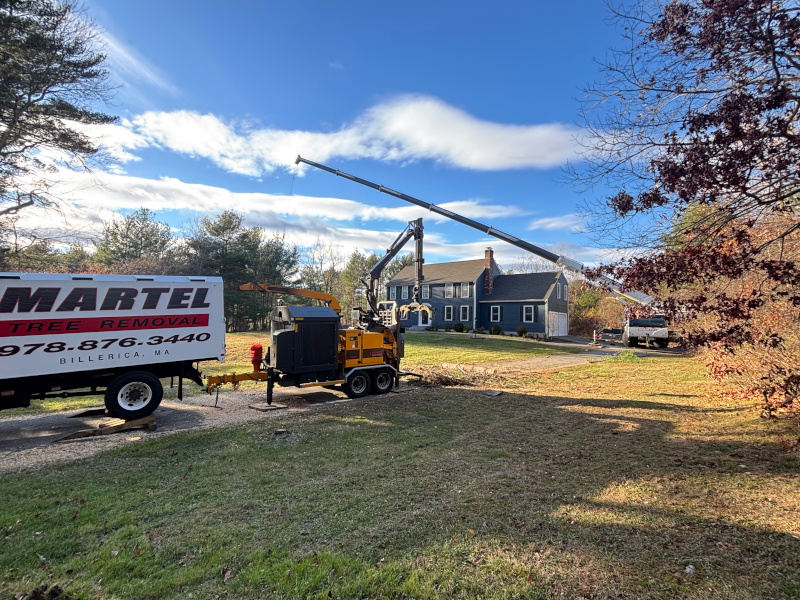 Martel Crane Service & Tree Removal Image