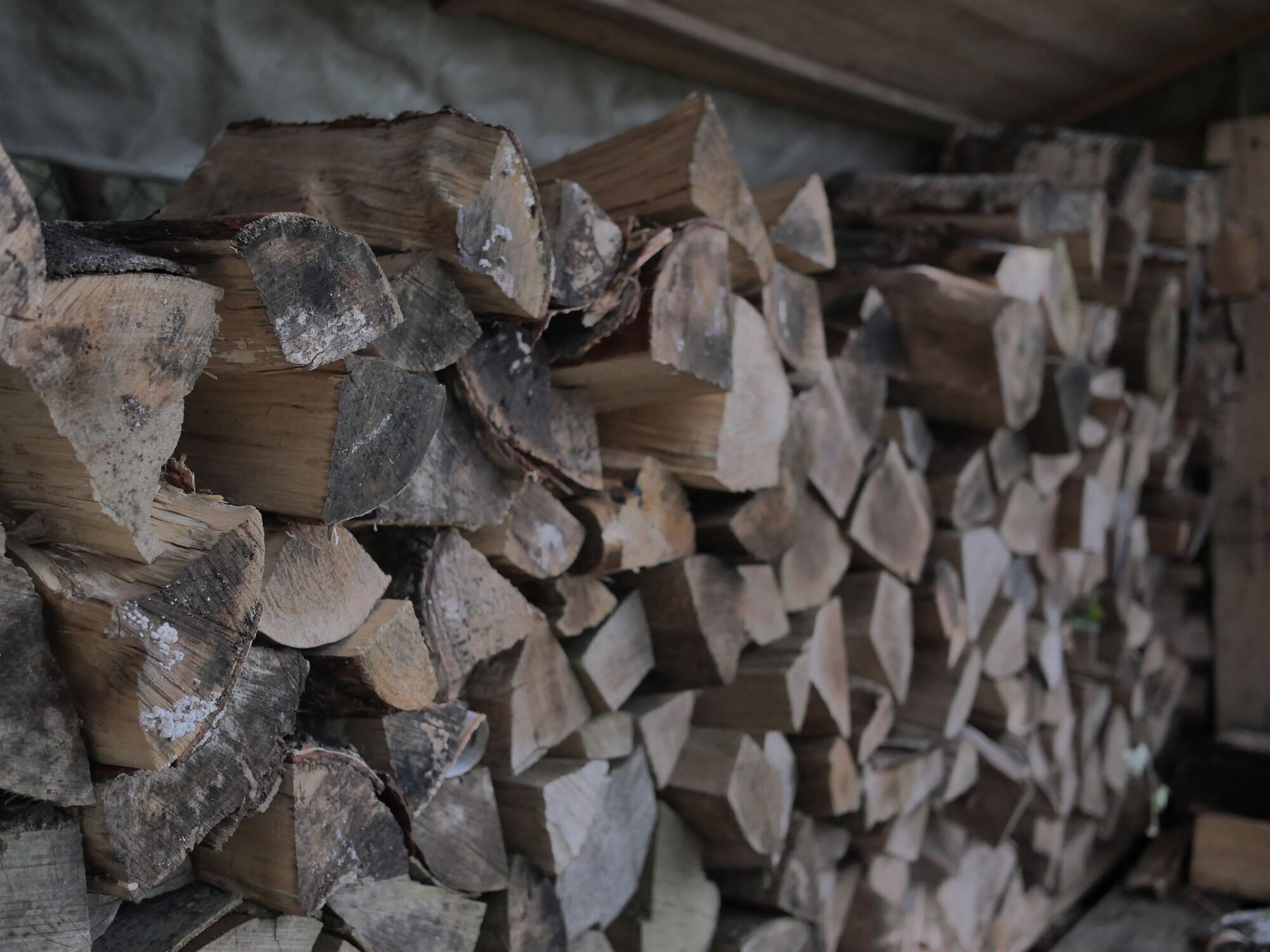 Ferienhaus im Bergdorf Hohegeiß, Wilhelm-Raabe-Straße 9 in Braunlage