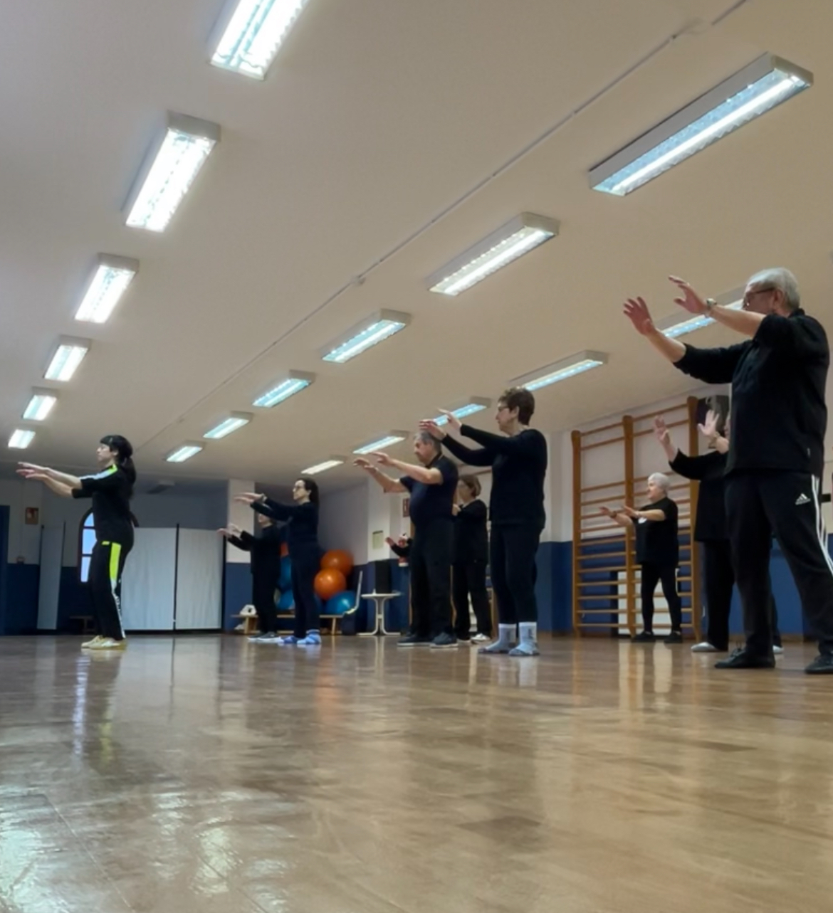 Images Escuela De Wushu/kung Fu Jingwu