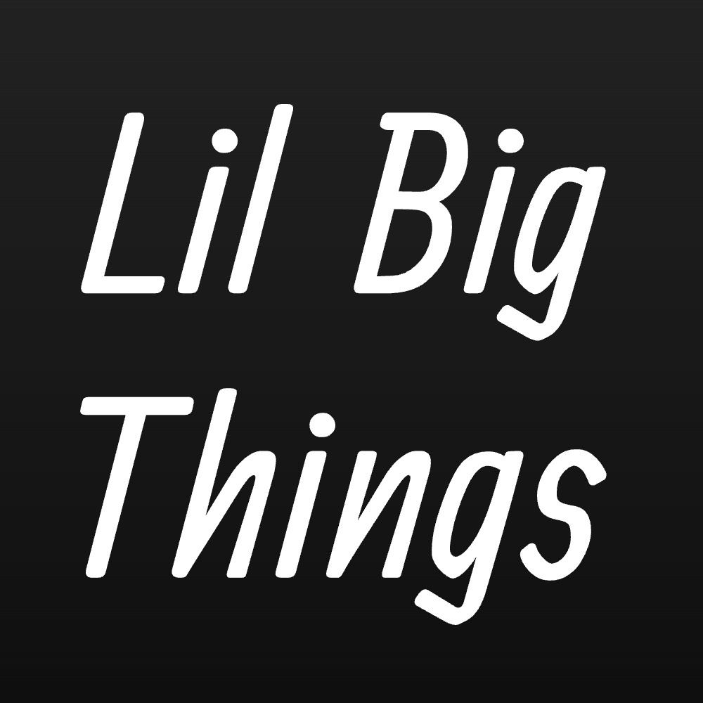 Lil Big Things LLC