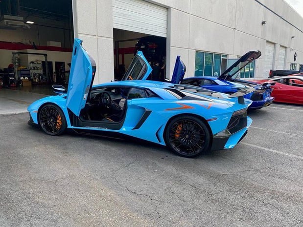 Images Loudoun County Exotics