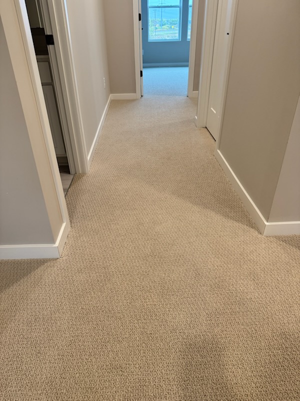 Images Zam EP Carpet and Flooring