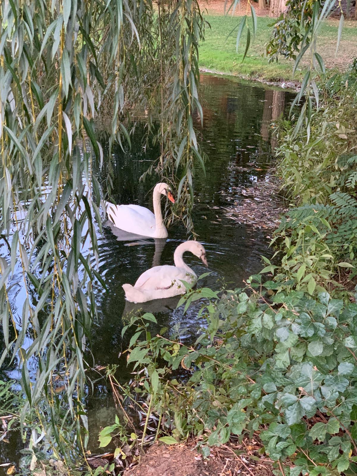 Gervasi Vineyard Resort & Spa