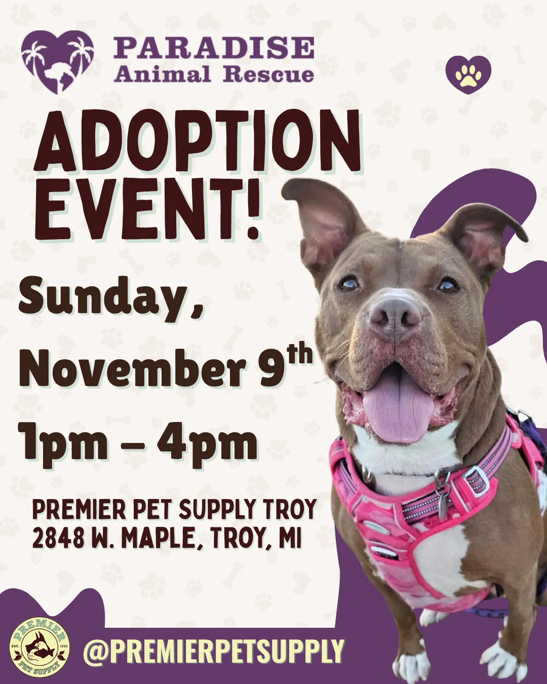 Image of Local Pet Event PARADISE ANIMAL RESCUE ADOPTION EVENT | TROY Nearby
