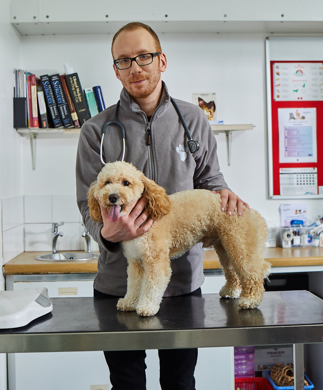 Images Best Friends Vet Group, Dagenham