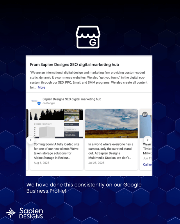 Images Sapien Designs SEO digital marketing hub