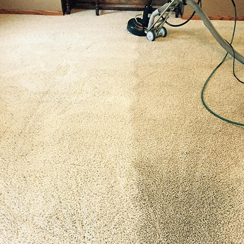 Best Local Carpet Cleaning Company