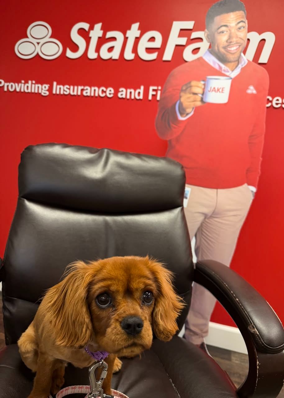 Meet Pippa, our new office pup! Pets are part of the family, and it&rsquo;s worth knowing what options are out there for their care. State Farm works with Trupanion to offer coverage for cats and dogs when they need medical attention. Stop by or give our Savannah State Farm office a call to learn more.