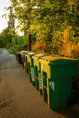 Images 2 Pitties Disposal