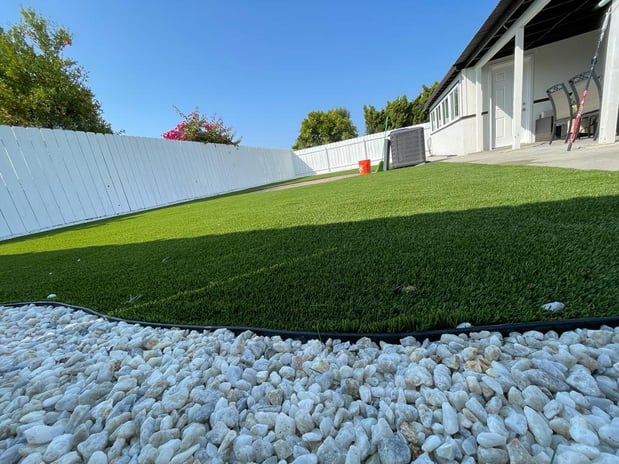 Images Best Green Grass