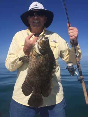 Images Reelfishing Charters