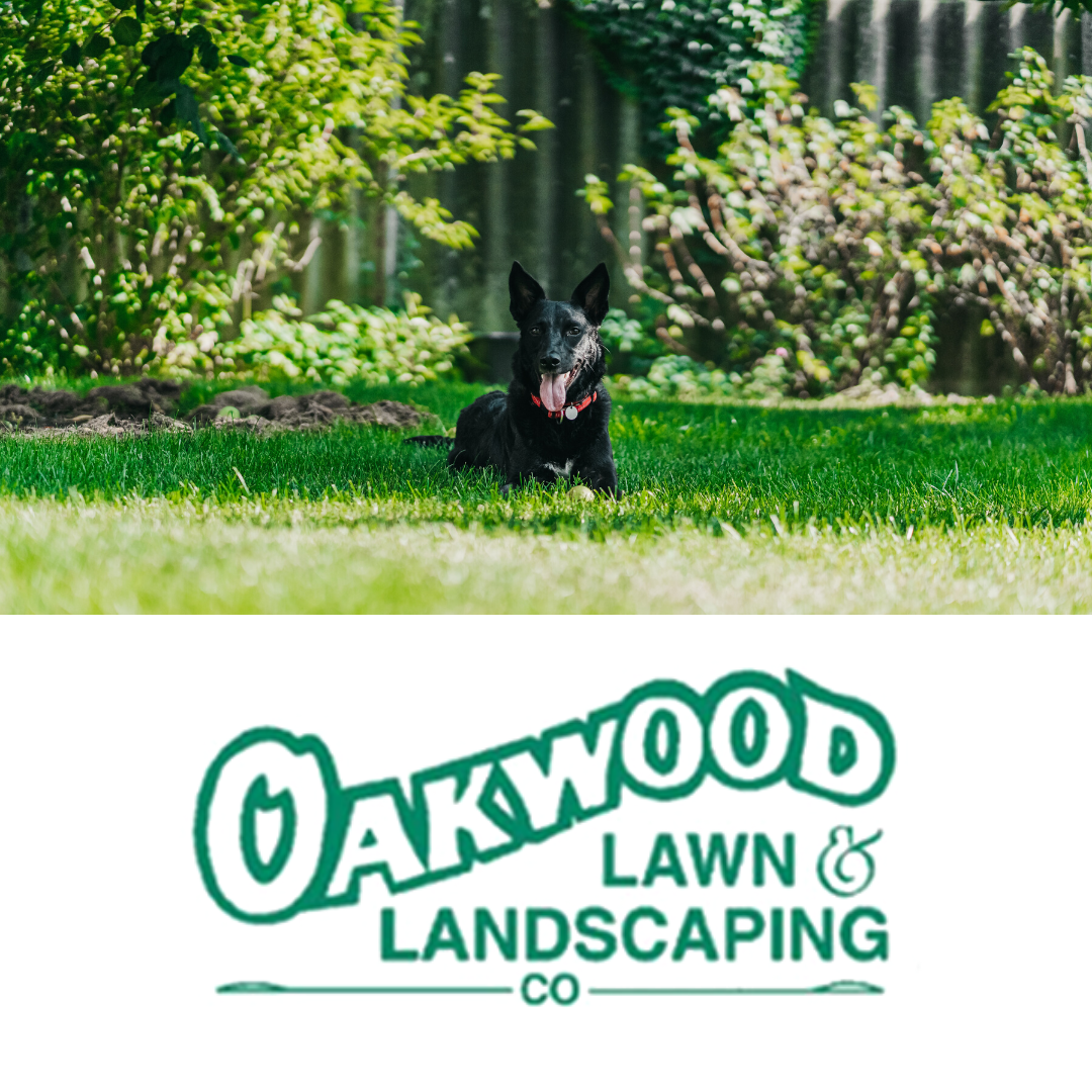 Image 16 | Oakwood Lawn & Landscaping