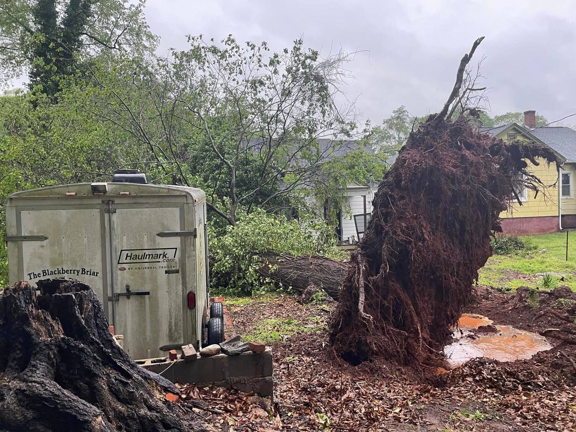 Uprooted tree with exposed roots lies in a residential yard after storm damage, with muddy ground, debris, and nearby trailer, highlighting severe impact of fallen tree on landscape.