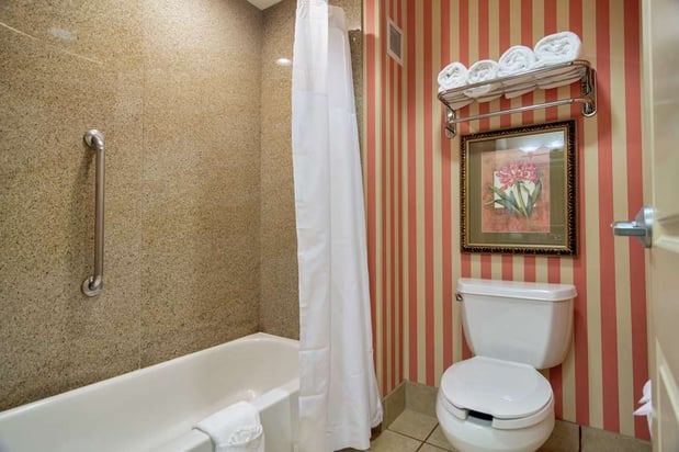 Images Hampton Inn & Suites Dallas-DFW ARPT W-SH 183 Hurst