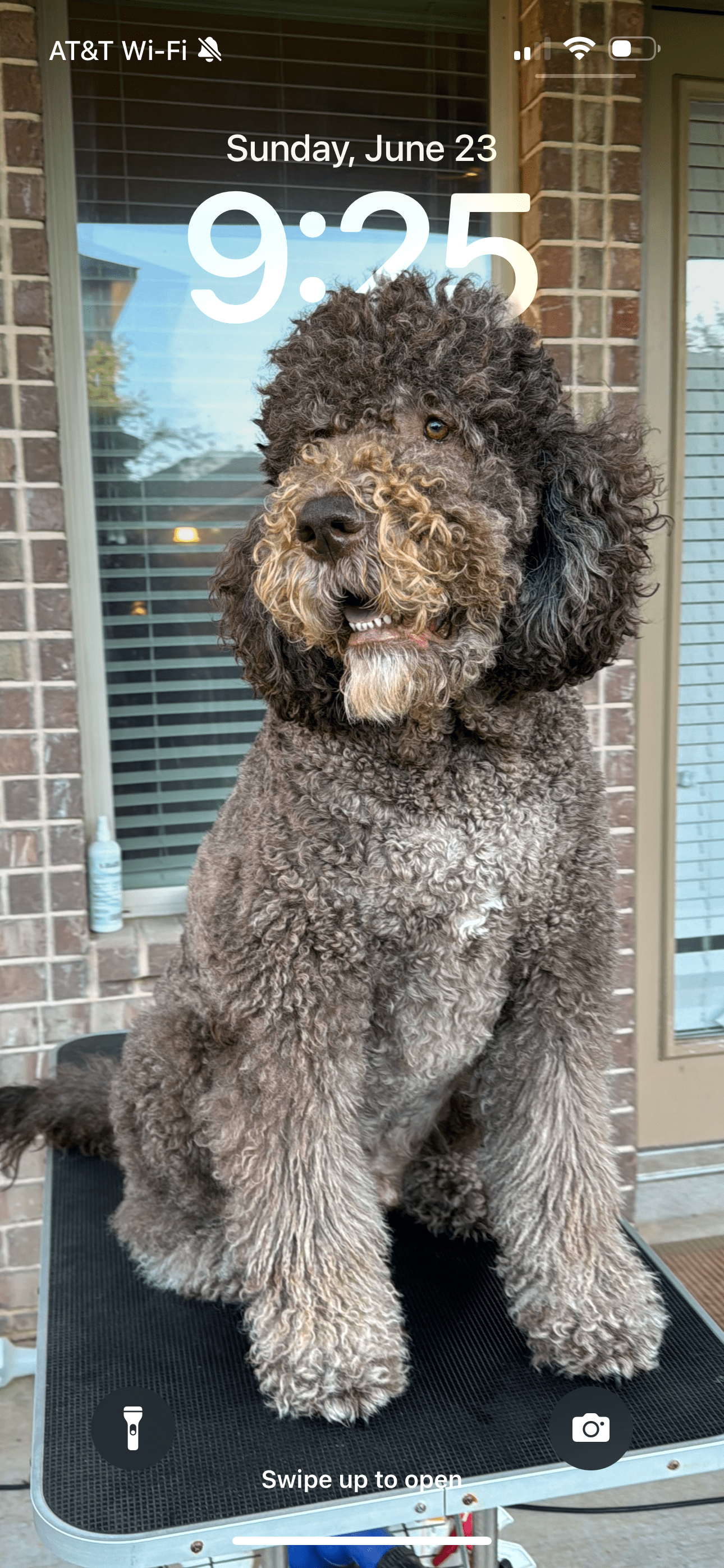 Doodle Me This Kingston and Hamilton LLC Image