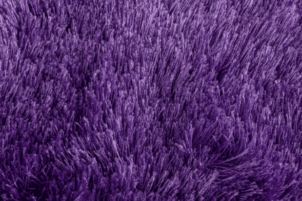 Images Absolute Flooring