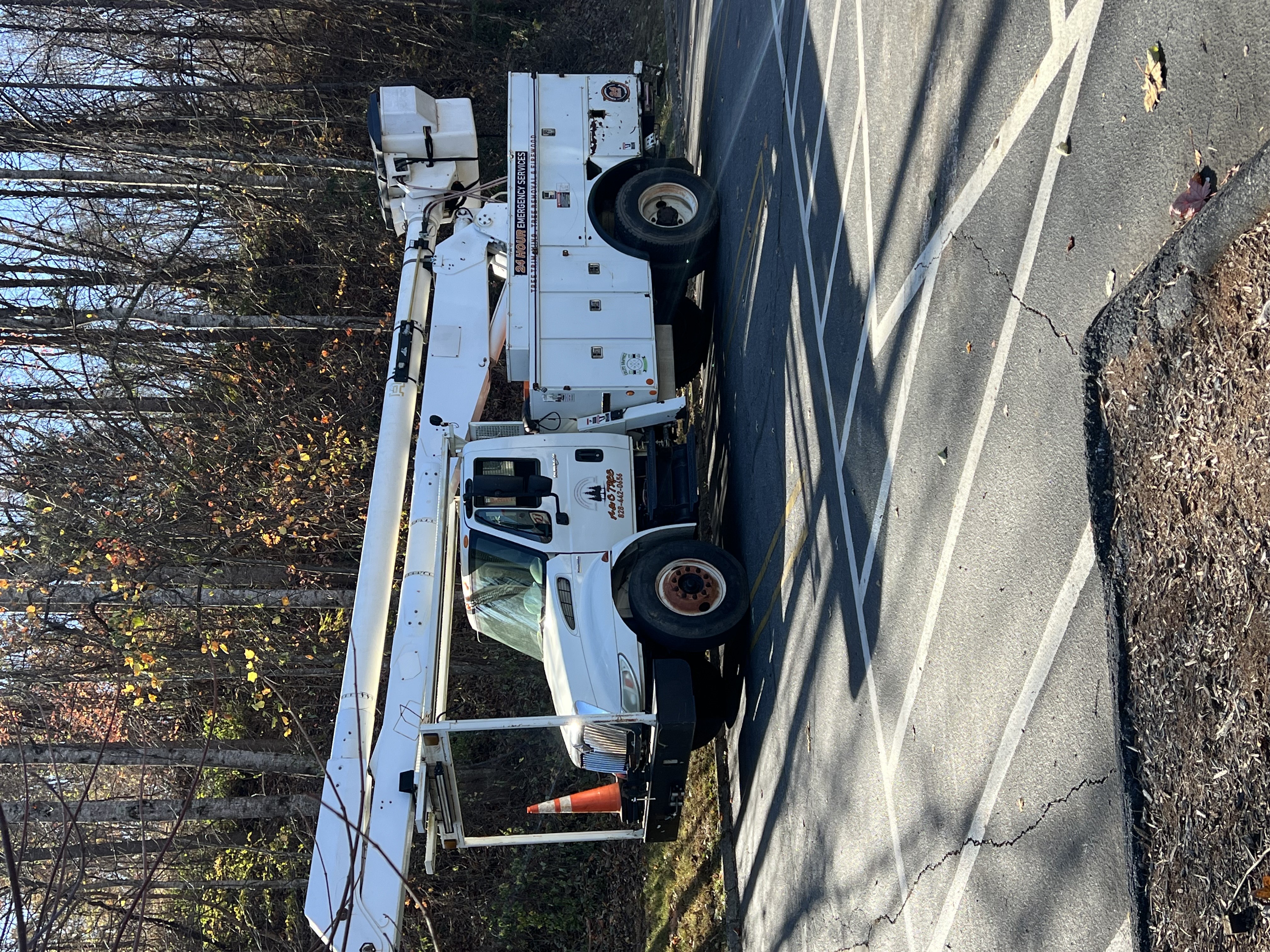 A&amp;C Tree, LLC Logo