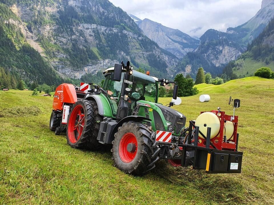 Bilder Rubin's Lohnarbeiten