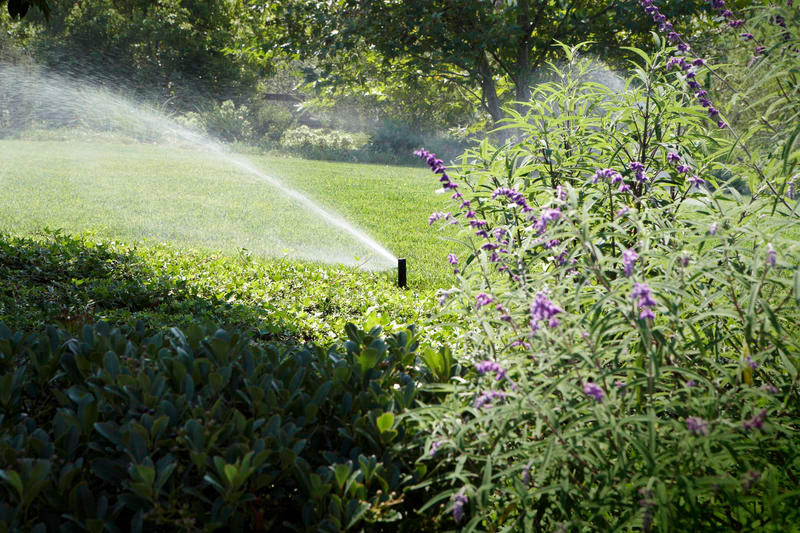 Affordable Irrigation Tulsa Rain Bird rotory head watering after sprinkler installation.