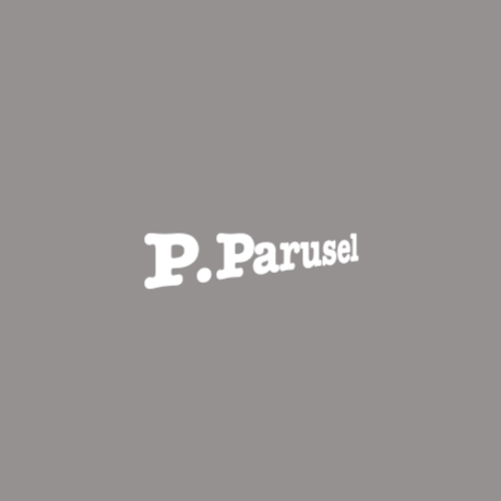 Logo Fahrschule Peter Parusel